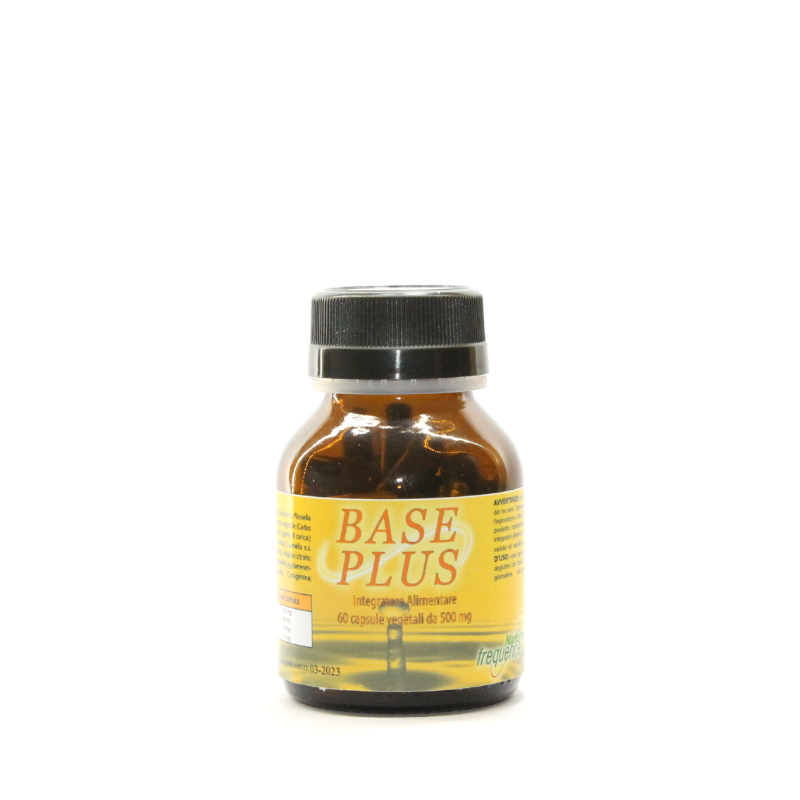 Base Plus