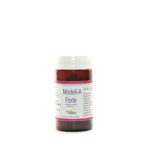Modell-A Forte